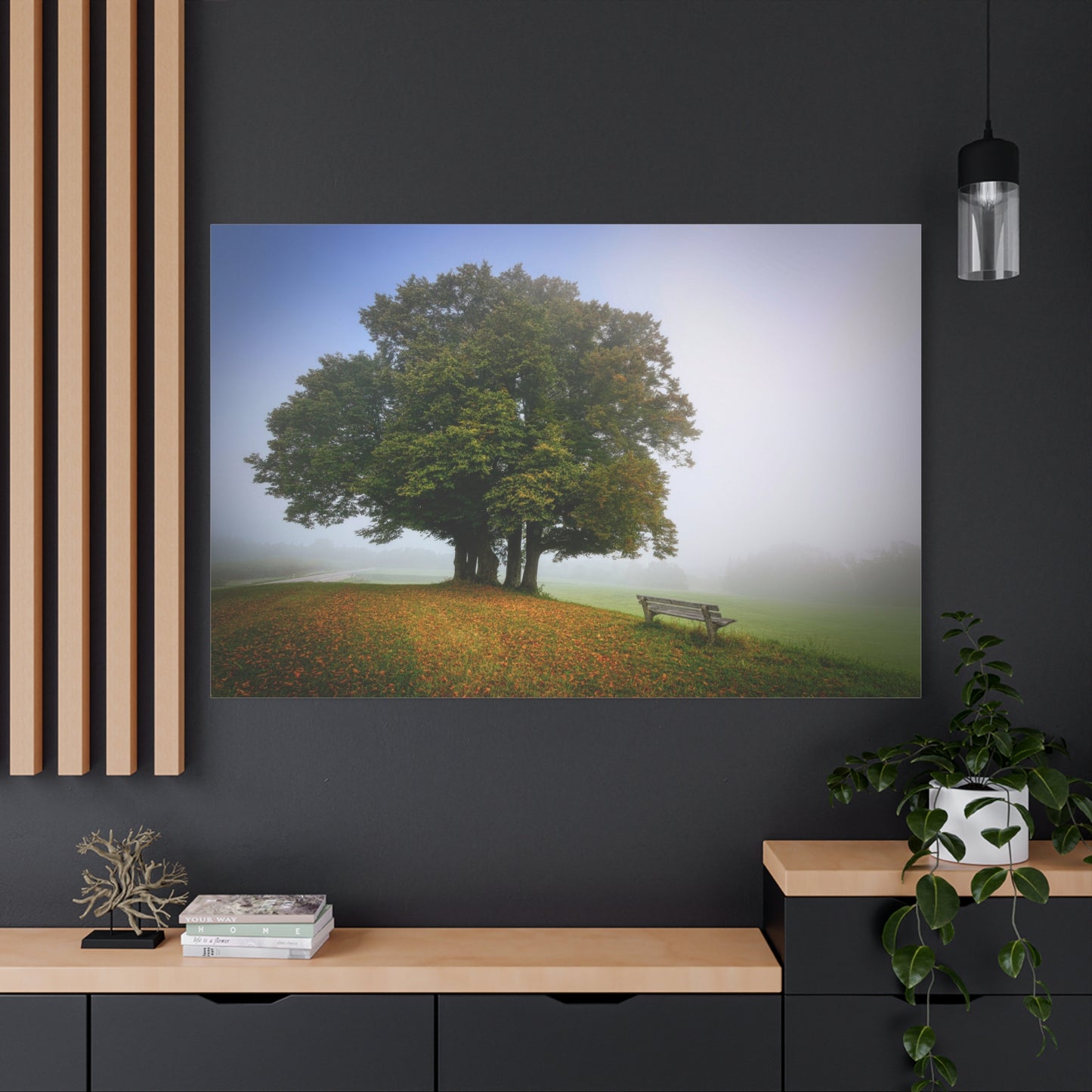 Serene Meadow Escape – A Bench Beneath the Lone Tree