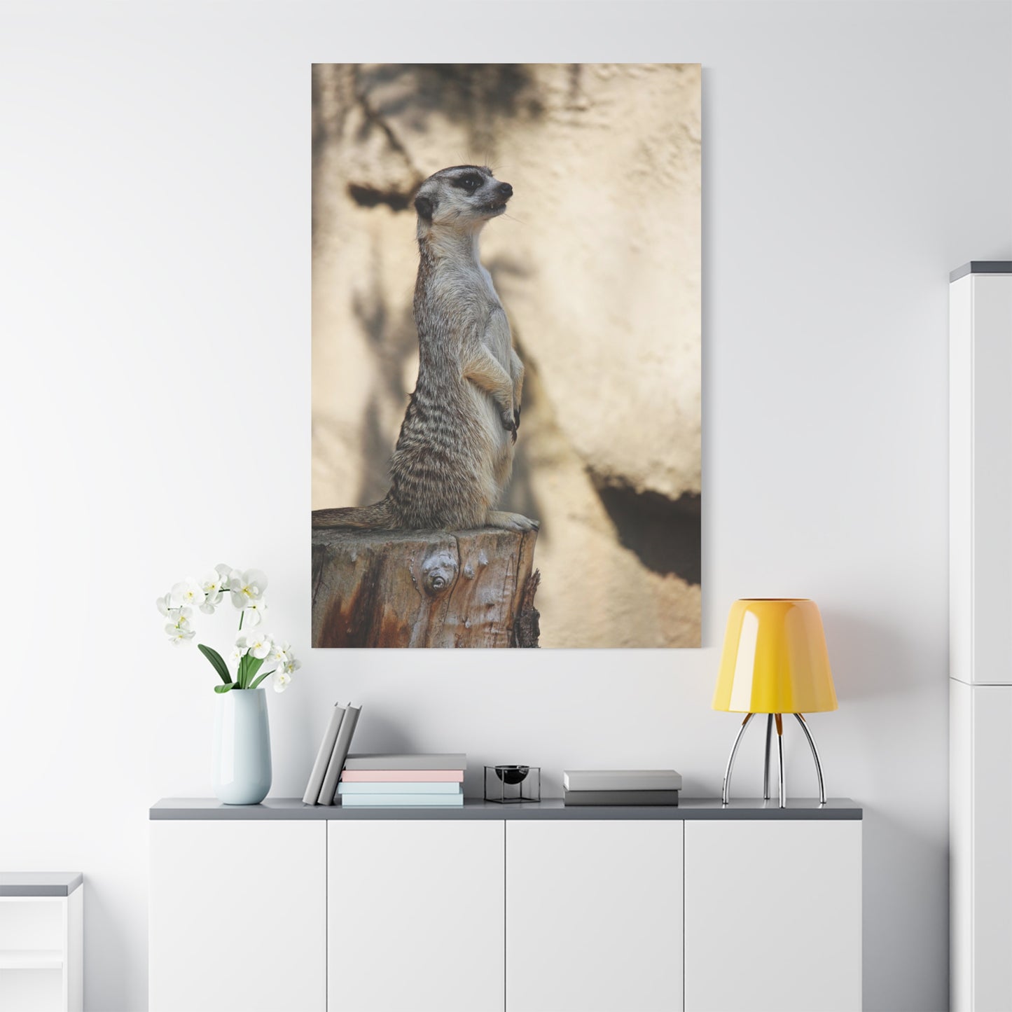 Charming Meerkat – A Striking Portrait of Nature’s Watchful Guardian