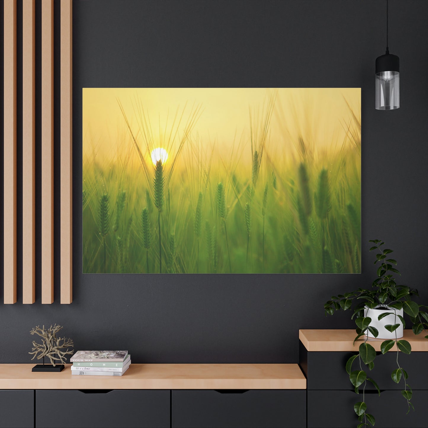 Golden Barley Field Under a Vibrant Sky