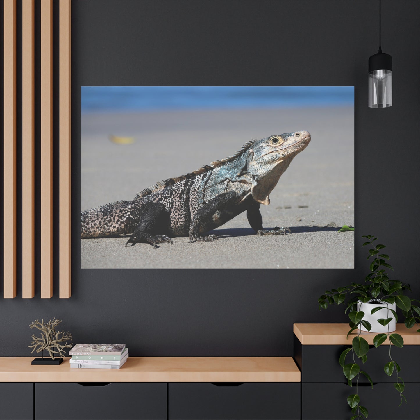 Iguana Lizard Reptile Beach Canvas Wall Art