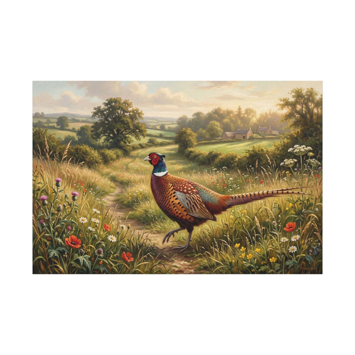 Golden Meadow Pheasant – Countryside Wildlife Canvas Wall Art