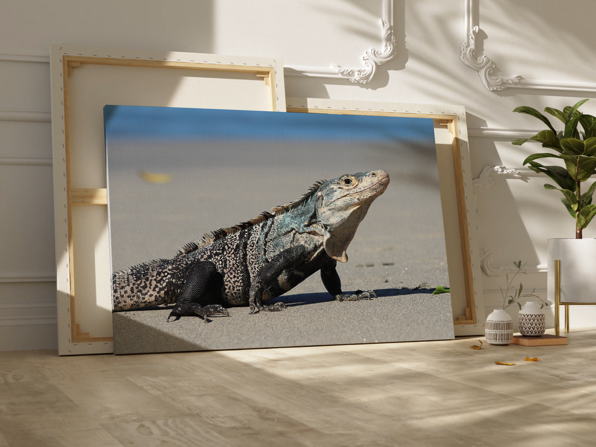 Iguana Canvas Wall Art - ART OF ROYALS