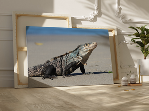 Iguana Canvas Wall Art