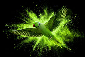Parrot Canvas Wall Art