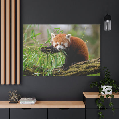 Adorable Red Panda Canvas Wall Art – Nature’s Charm and Elegance