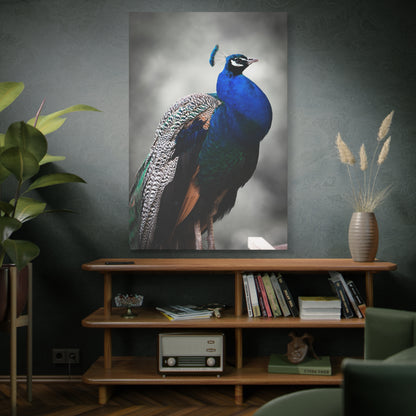 Regal Peacock Canvas Wall Art – Vibrant Feather Wildlife Decor for Home & Office Spaces