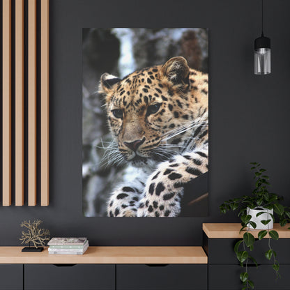 Majestic Cheetah Canvas Wall Art – A Tribute to Grace and Speed