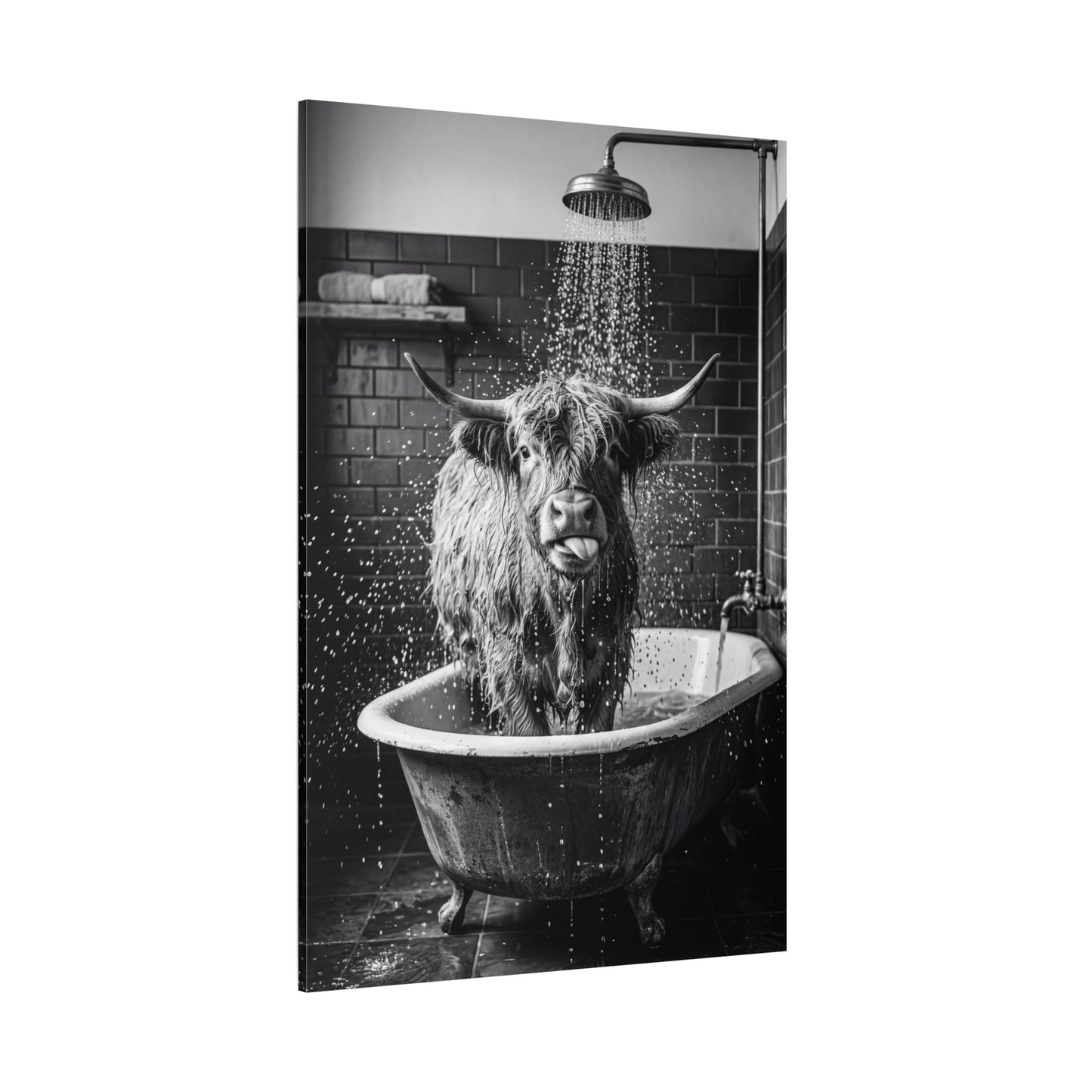 Highland Cow Shower Time – Funny Black & White Bathroom Canvas Wall Art