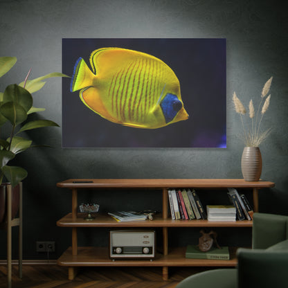 Tropical Yellow Fish Canvas Wall Art – Vibrant Aquarium Wildlife Print for Coastal-Inspired Decor