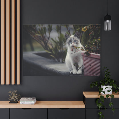 Cozy Cat Canvas Wall Art