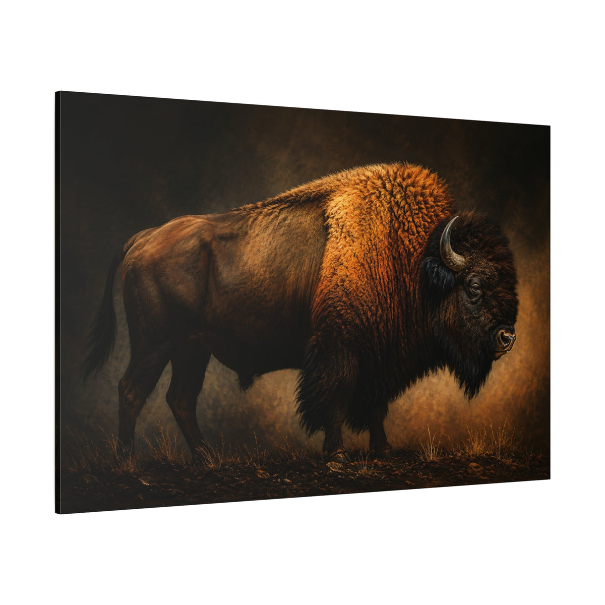Bison Studio Portrait Wrapped Canvas Wall Art – Warm Golden Light Fine Art Print - ART OF ROYALS
