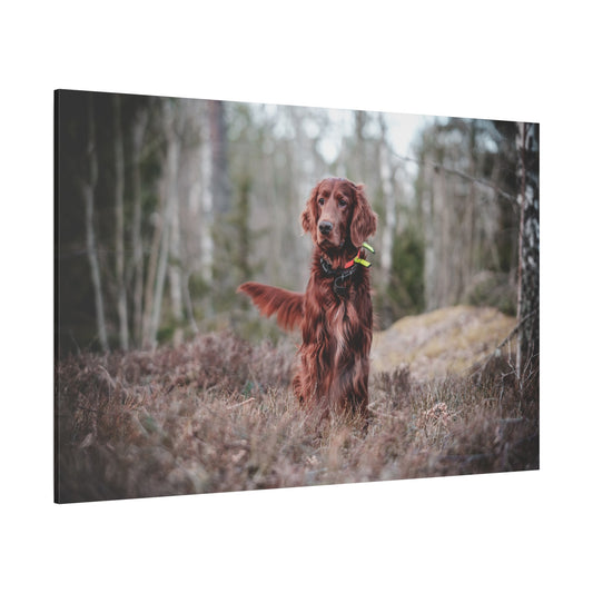 Adorable Mischievous Irish Setter Dog Canvas Wall Art - Perfect for Dog Lovers