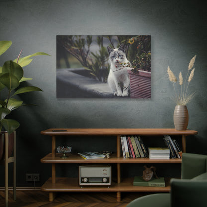 Cozy Cat Canvas Wall Art