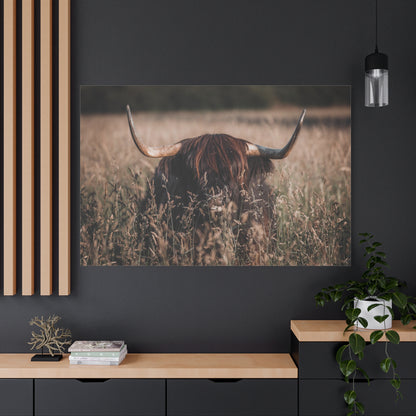 Highland Cow in Meadow – Rustic Nature Photography Print