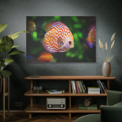 Vibrant Discus Fish Canvas Wall Art – Exotic Aquarium Wildlife Print for Tranquil Spaces