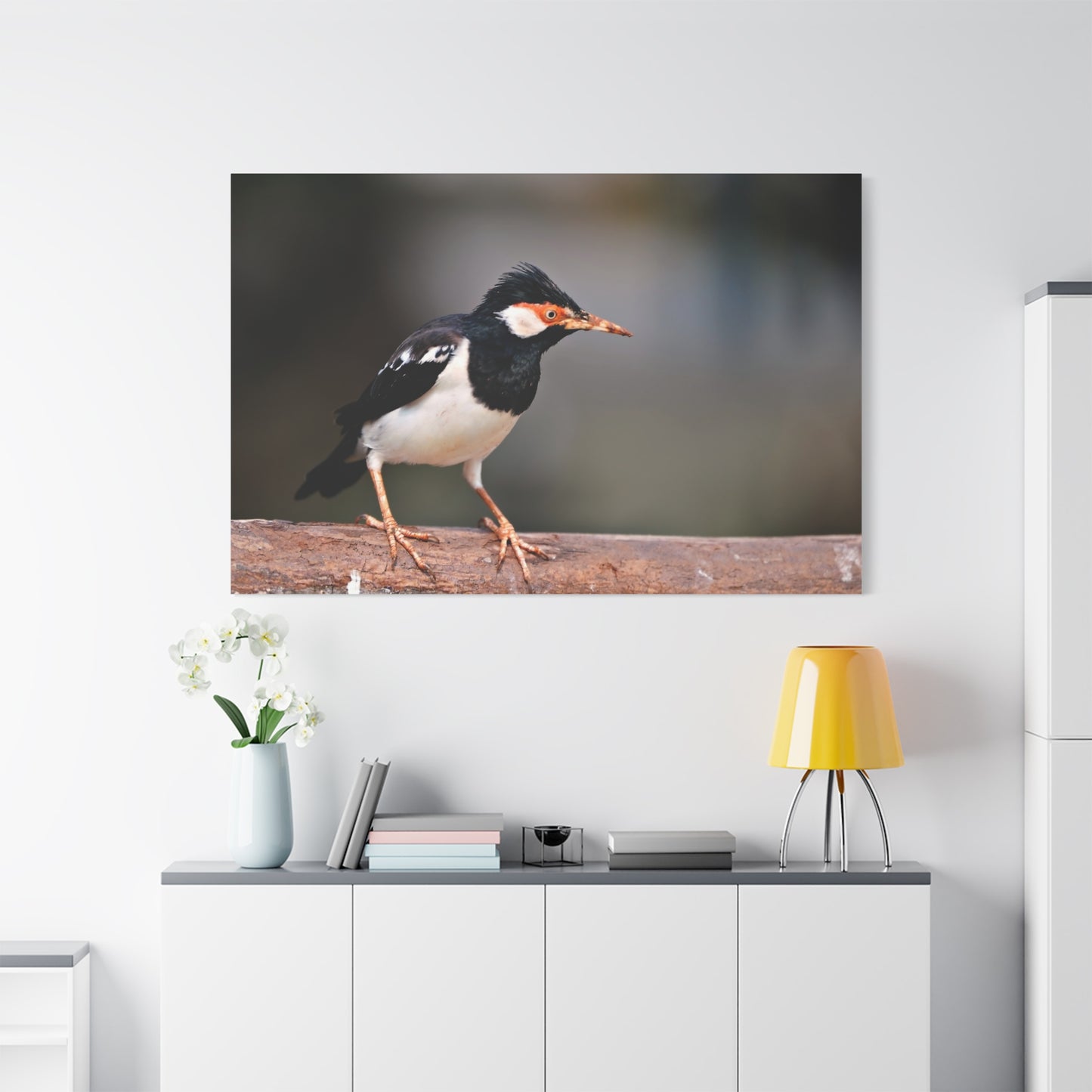 Majestic Myna – A Stunning Portrait of an Intelligent Bird