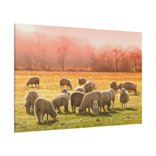 Peaceful Sheep Flock Canvas Wall Art – Tranquil Countryside Serenity