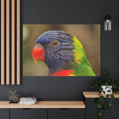 Colorful Charm Vibrant Parrot Canvas Wall Art