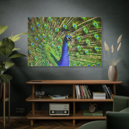 Vibrant Peacock Canvas Wall Art – Elegant Wildlife Decor for Modern Interiors