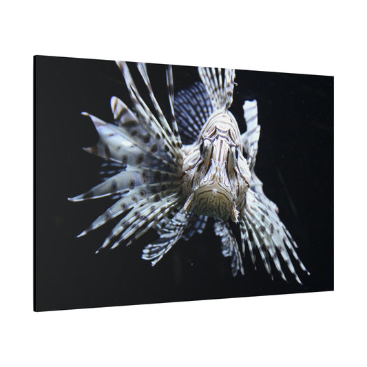 Lionfish Canvas Wall Art – Exotic Marine Elegance