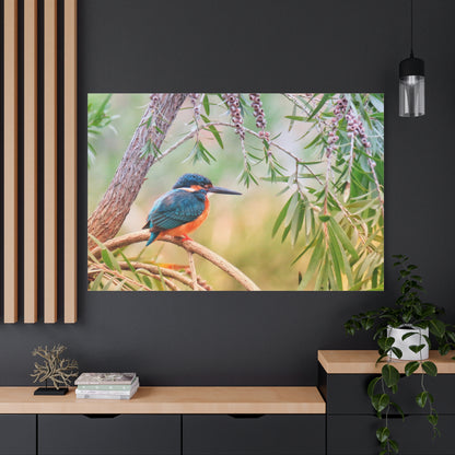 Kingfisher Canvas Wall Art – Vibrant Wildlife Elegance