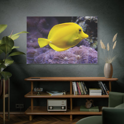 Lemon Surgeonfish Canvas Wall Art – Bright Underwater Elegance