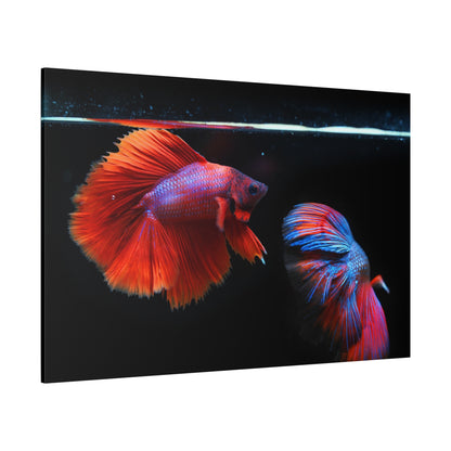 Majestic Siamese Fighting Fish Canvas Wall Art – Vibrant Betta Fish Print for Elegant Home Decor