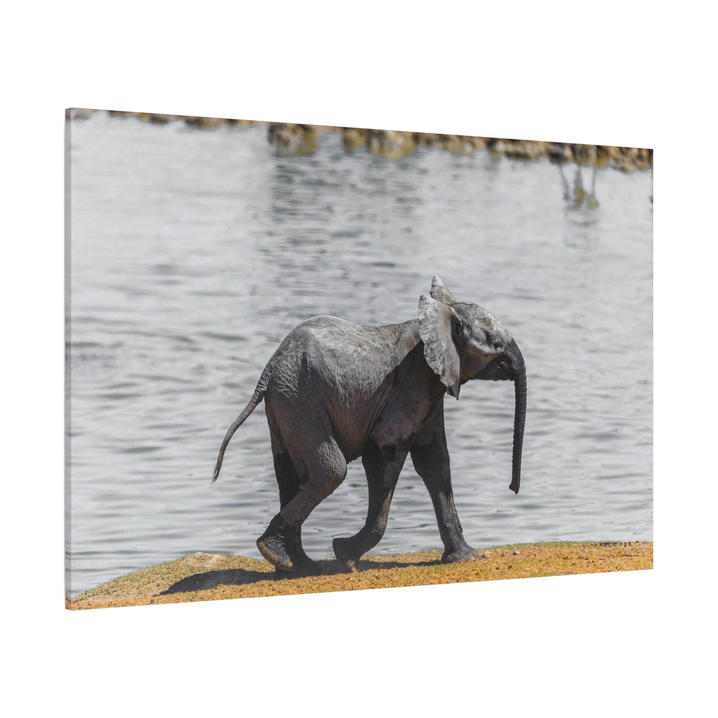 Elephant Family Canvas Wall Art – Tender Moments in the Wild