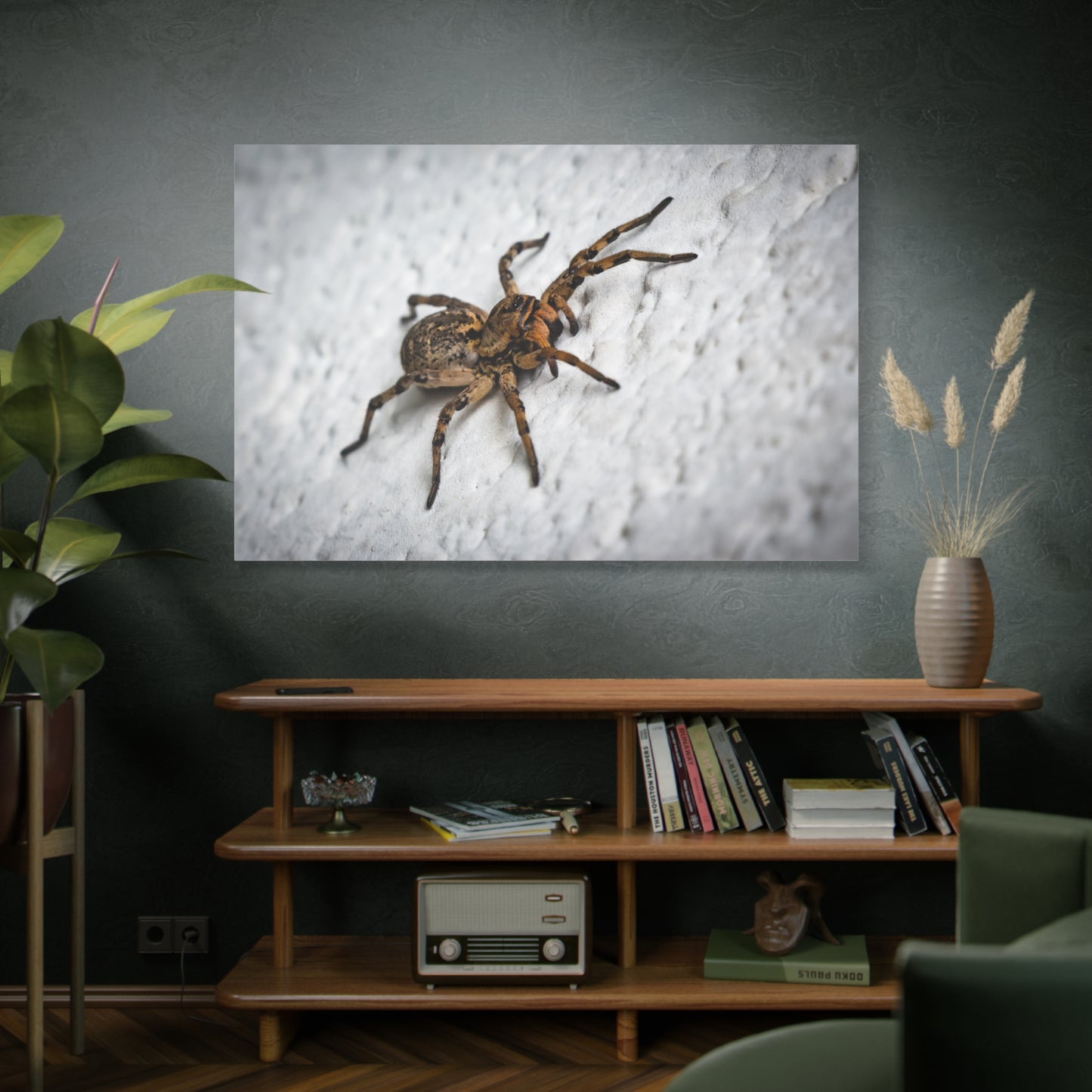 Close-Up Spider Canvas Wall Art – A Stunning Tribute to Nature's Predators