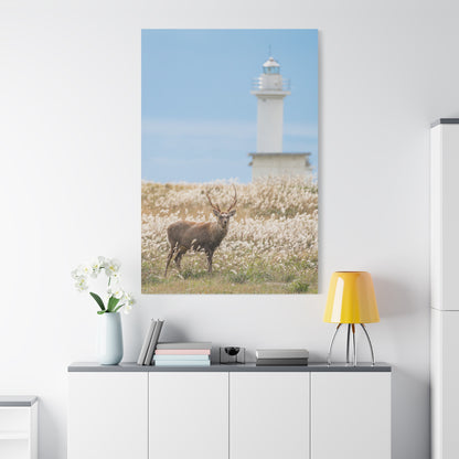 Hokkaido Sika Deer Canvas Wall Art – Majestic Wildlife Beauty