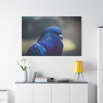 Serene Pigeon Canvas Art – Elegant Bird Feathers Print