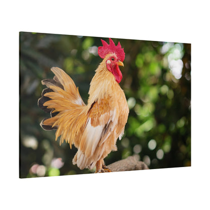 Vibrant Rooster Canvas Wall Art – Rustic Farmhouse Decor