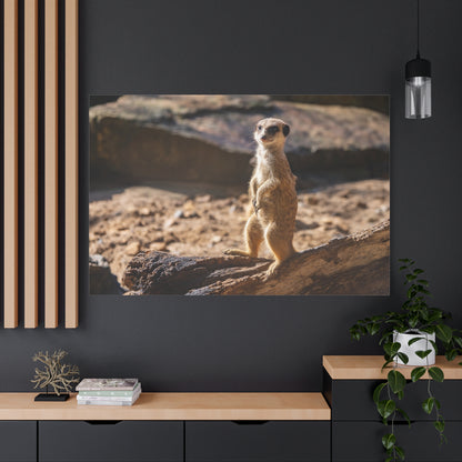 Vigilant Meerkat – A Striking Portrait of Nature’s Watchful Guardian