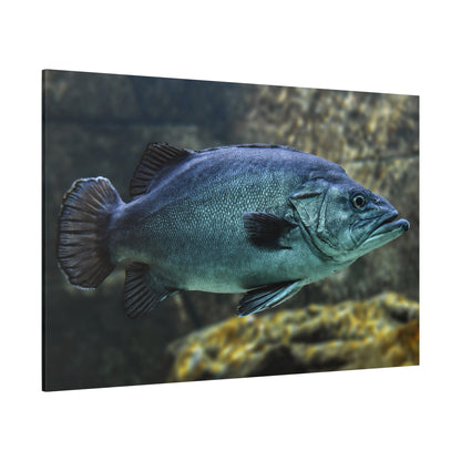 Graceful Underwater Fish Canvas Wall Art – Serene Aquatic Wildlife Print for Tranquil Spaces