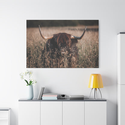 Highland Cow in Meadow – Rustic Nature Photography Print