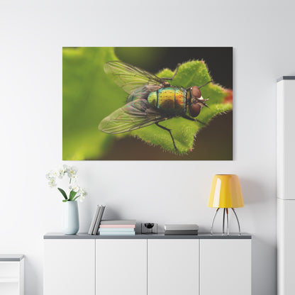 Insect on Leaf Canvas Wall Art – A Close-Up of Nature’s Detail