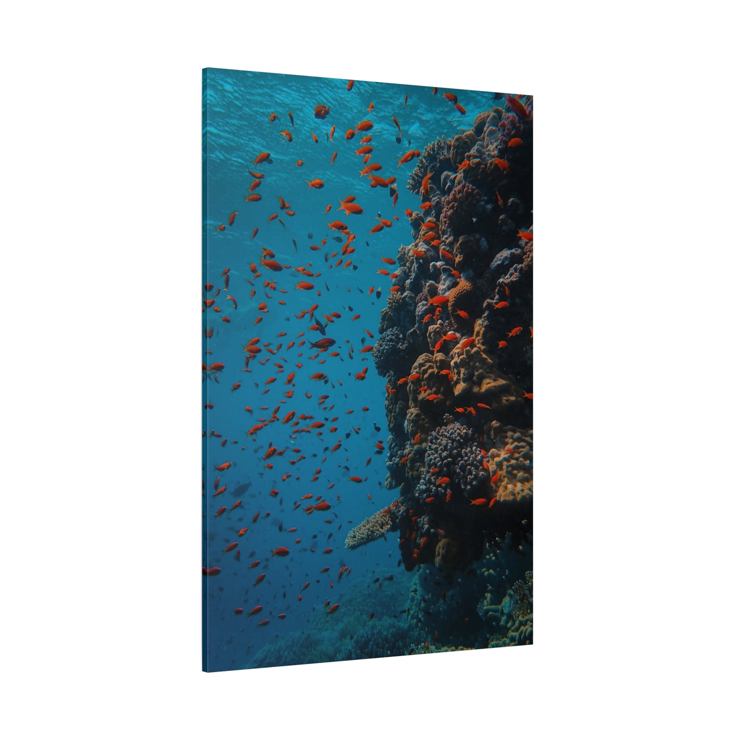 Colorful Coral Reef Canvas Wall Art – Vibrant Underwater Scene