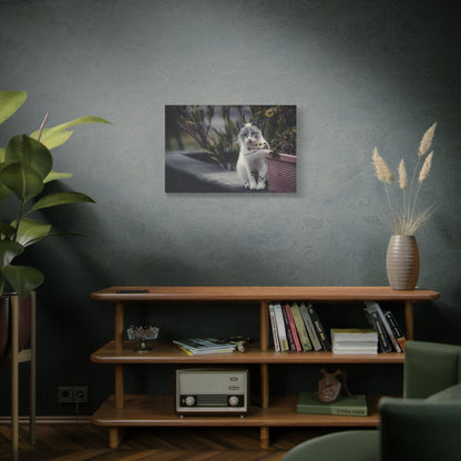 Cozy Cat Canvas Wall Art