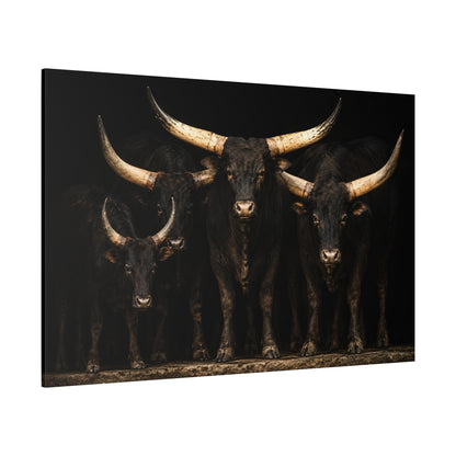 Dramatic Longhorn Herd Wrapped Canvas Wall Art – Bold Studio Cattle Portrait Print - ART OF ROYALS