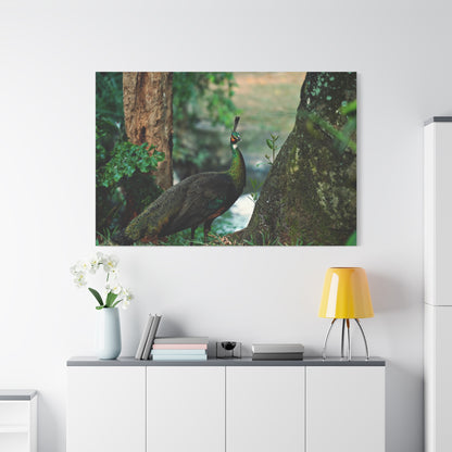 Majestic Peacock Canvas Wall Art – Elegant Wildlife Decor for Home & Office Spaces