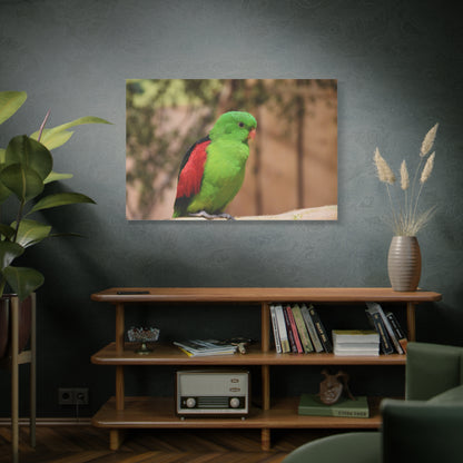 Green Parakeet Canvas Wall Art