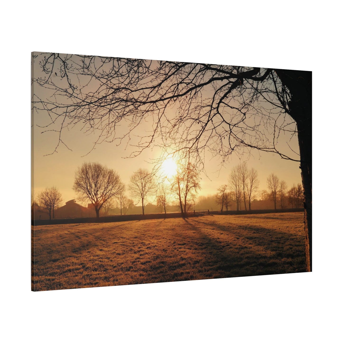 Tranquil Sunrise Over a Peaceful Meadow