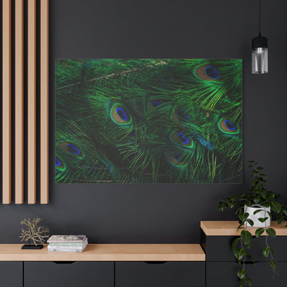 Elegant Peacock Feather Canvas Wall Art – Vibrant Wildlife Decor for Home & Office Spaces