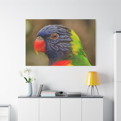 Colorful Charm Vibrant Parrot Canvas Wall Art