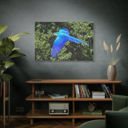 Majestic Flight: Blue Macaw Canvas Wall Art