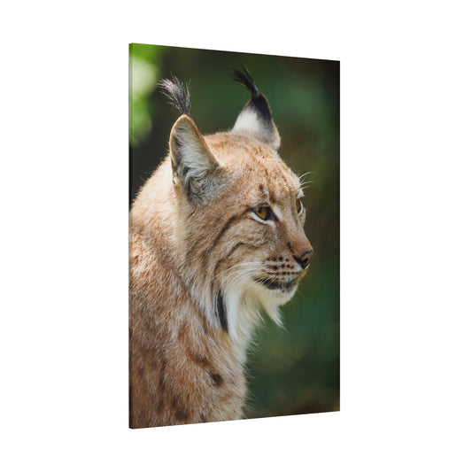 Majestic Lynx Canvas Wall Art– Masterpiece for Nature Lovers