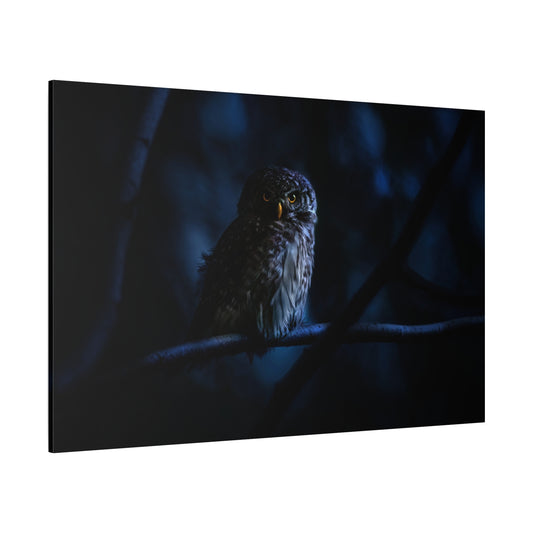 Mystical Eurasian Pygmy Owl Canvas Wall Art – Forest Wildlife