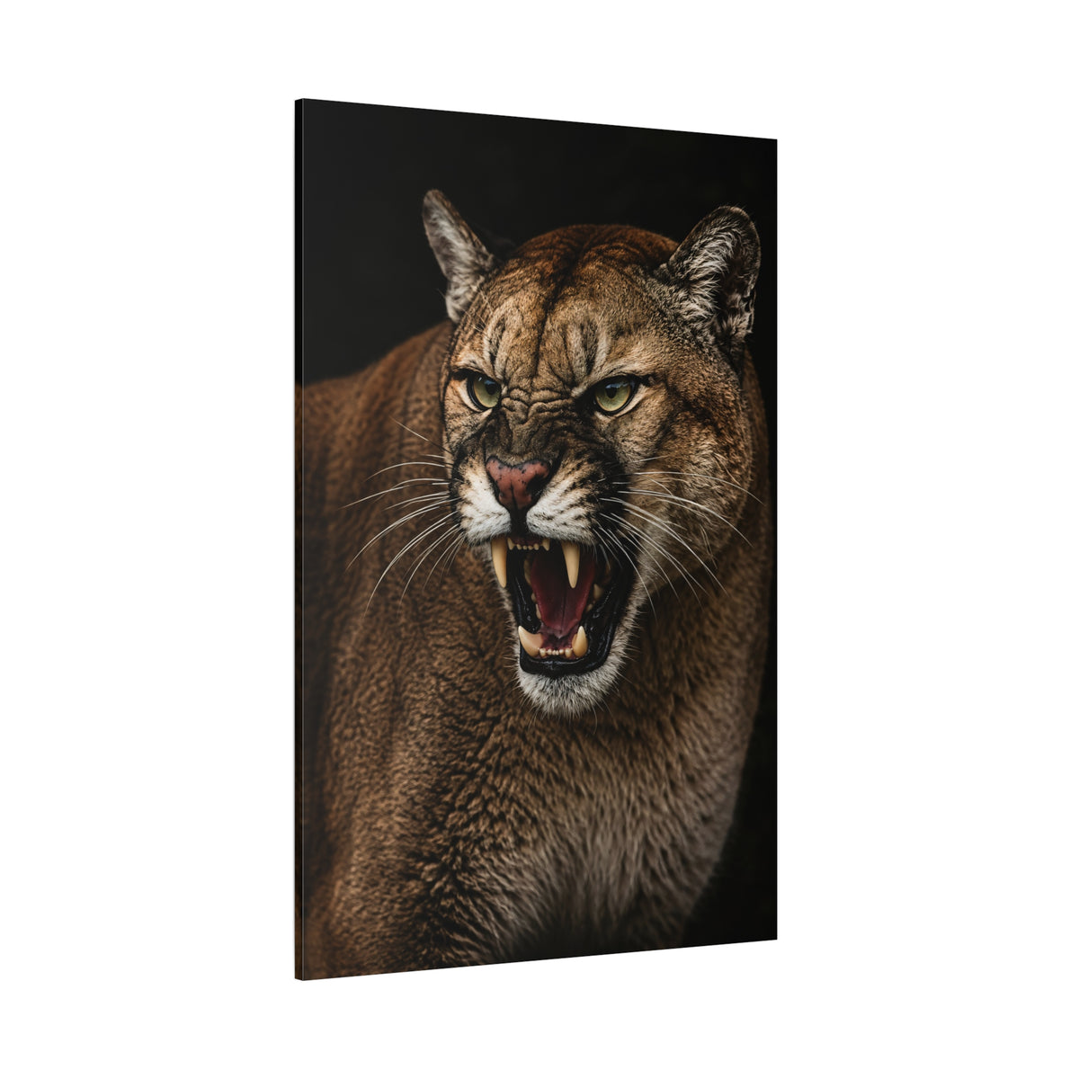 Snarling Cougar Studio Portrait Wrapped Canvas Wall Art – Fierce Wildlife Photography Print - ART OF ROYALS