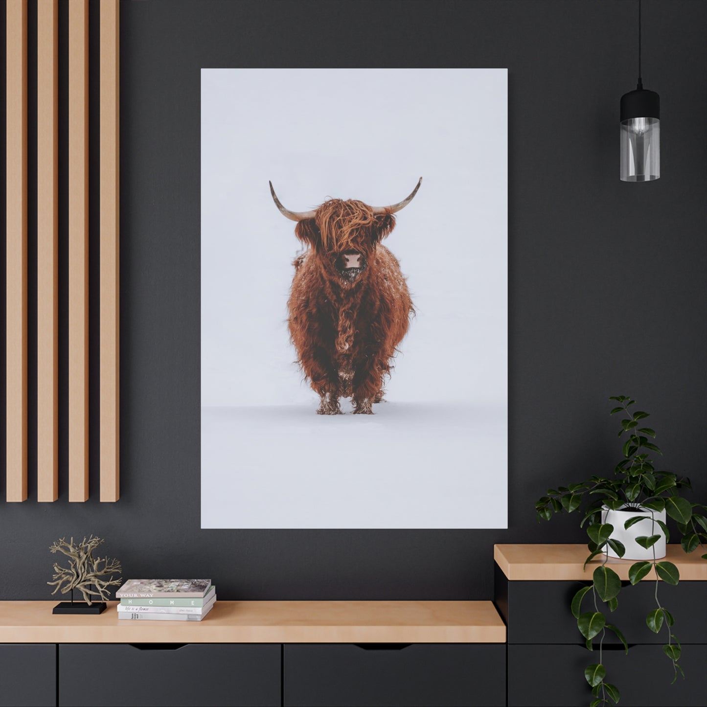 Winter Highland Cattle – Rustic Animal Photography Print