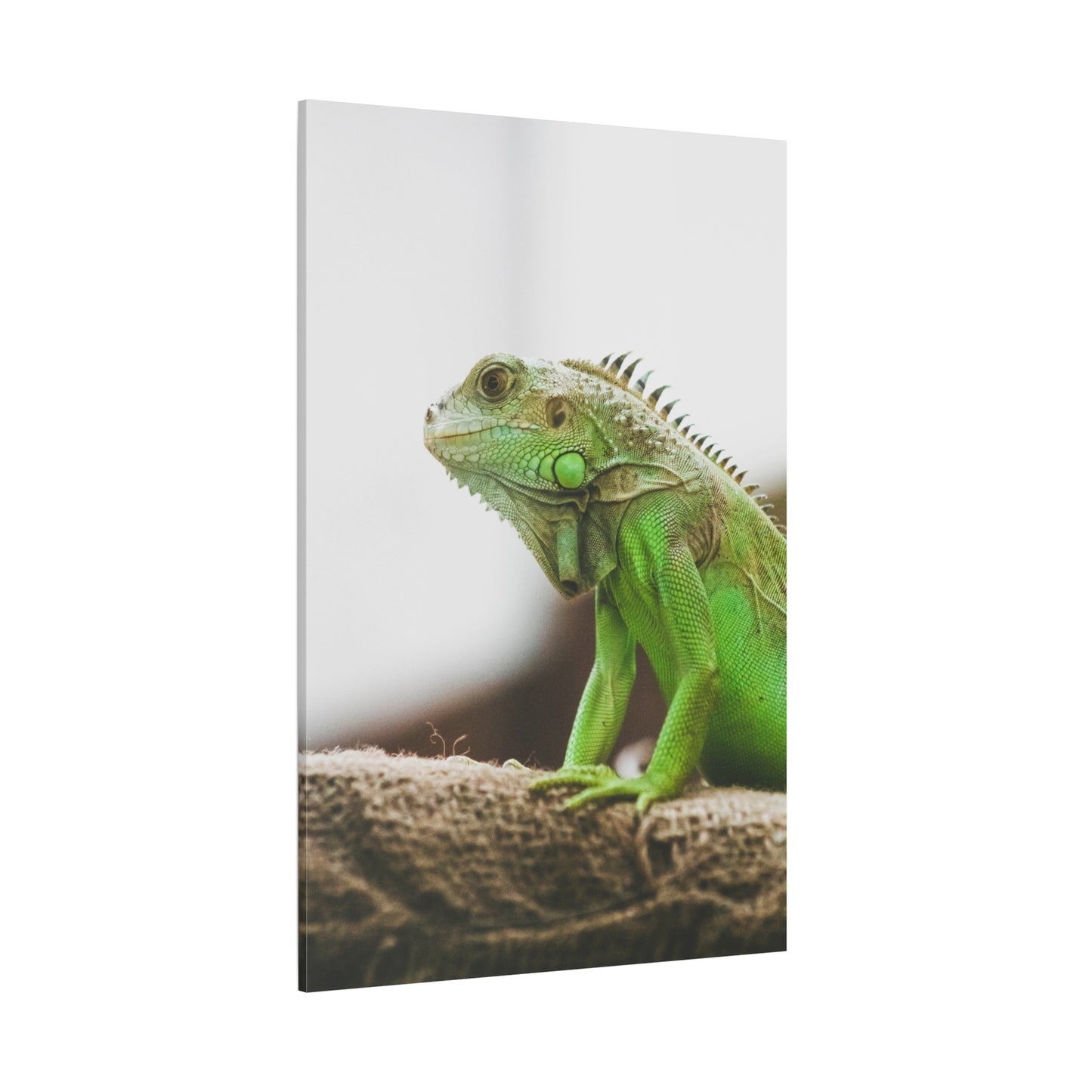 Regal Iguana Canvas Wall Art – Exotic Reptile Wildlife Print for Nature-Inspired Interiors